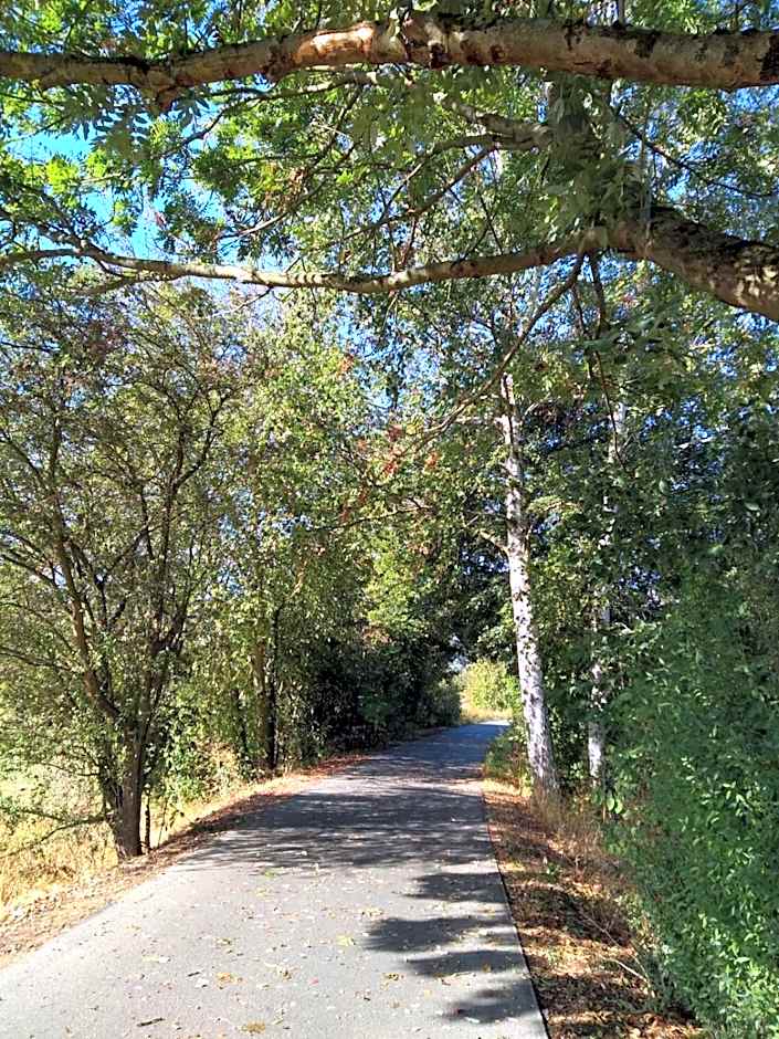 Art & Nature Apartments in der Nähe FFM-Messe