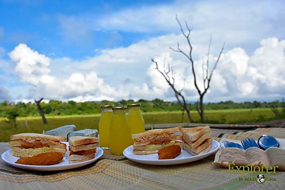 Explorer by Mahoora - Wasgamuwa