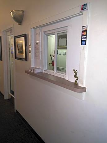 Bed in 4-Bed Mixed Dormitory Room