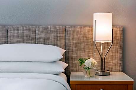 1 Bedroom Executive Suite, 1 King Or 2 Queen, Sofa Bed