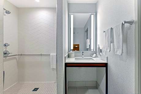 1 King Mobility/Hearing Acces. W/Roll-In Shwr