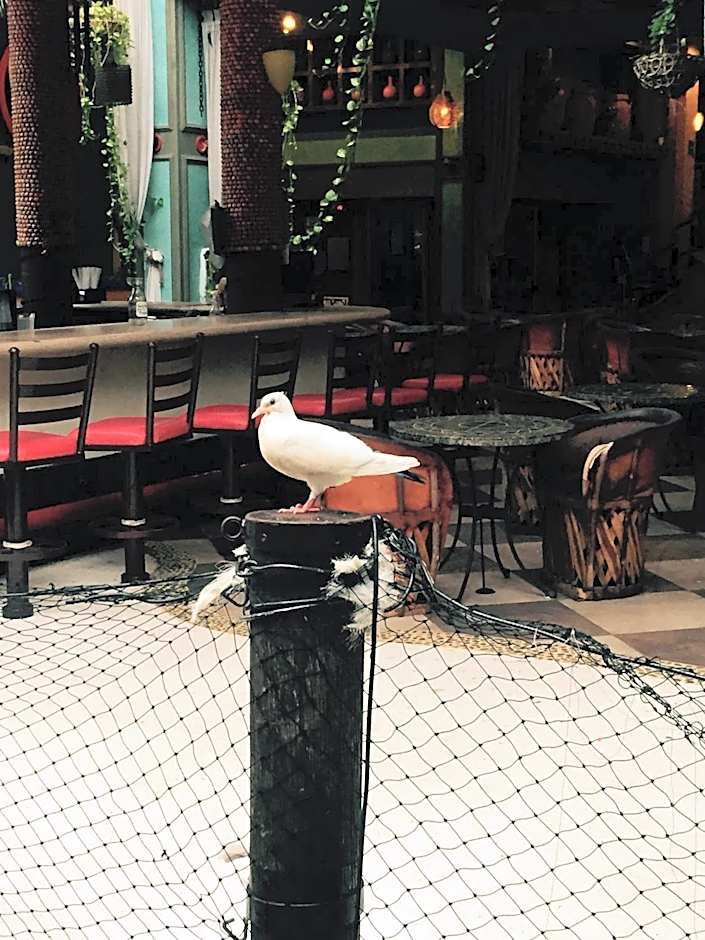 Hotel Club del Sol Acapulco by NG Hoteles