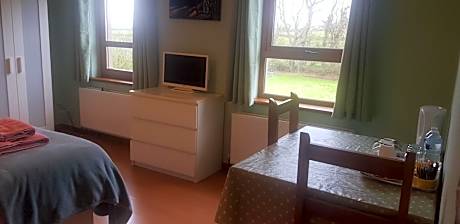 King Room with Garden View