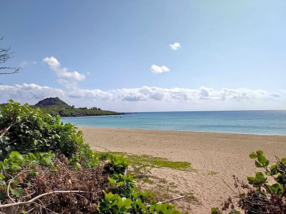 Renaissance Inn-Kenting Street