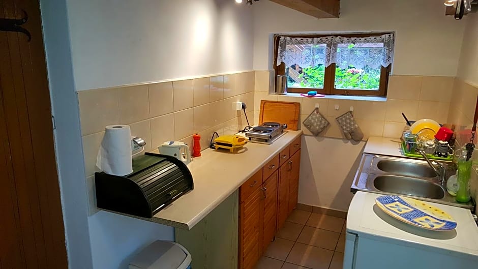 BORY TUCHOLSKIE SKÓRZENNO KO¿O OSIEKA