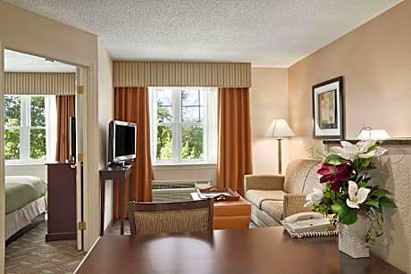 1 King Bed Studio Suite Nonsmoking