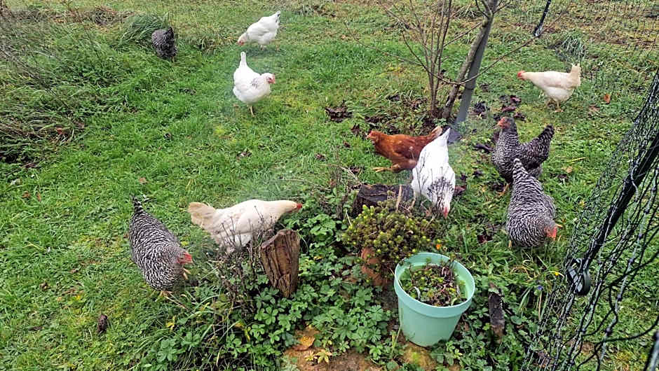 Domaine Le Puits du Moulin