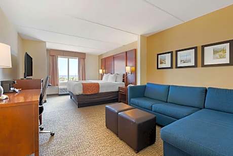 1 King Bed, Suite, Nonsmoking