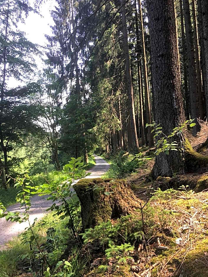 Natur & Wander Hotel Gassbachtal