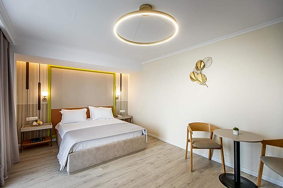 Hotel Anina