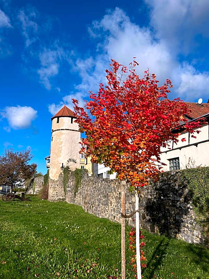 Burghotel Homberg