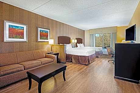 2 Double Beds Studio Suite With Sofa Bed Non-Smoking