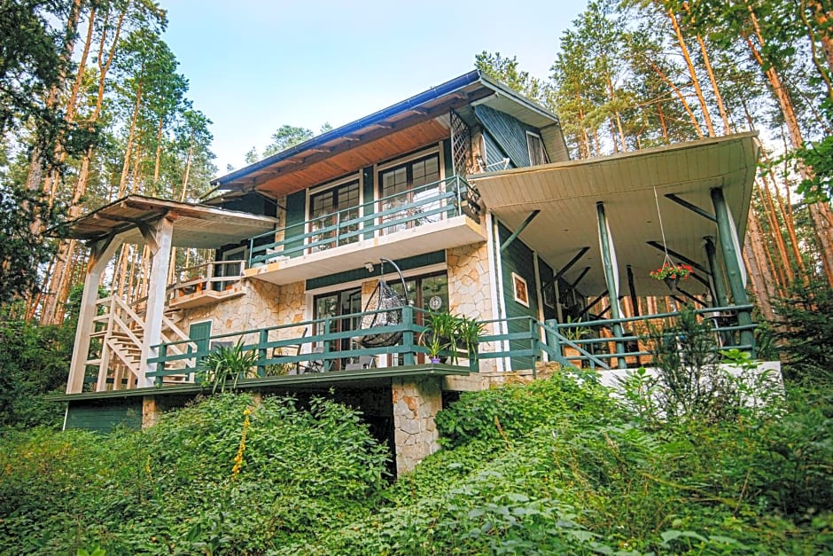 Zacisze Leśne nad Pilicą