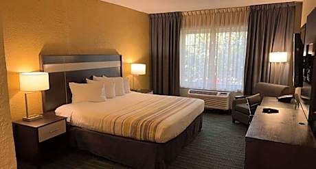 King Room with Roll-In Shower - Disability Access