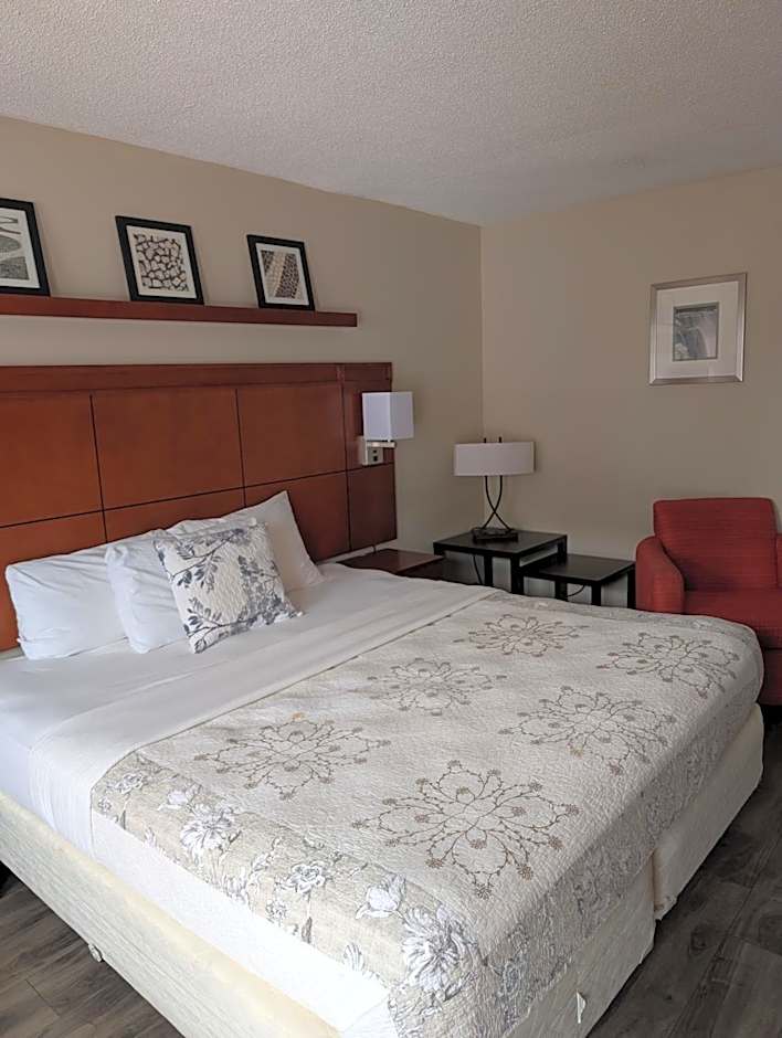 7 Nights Stay