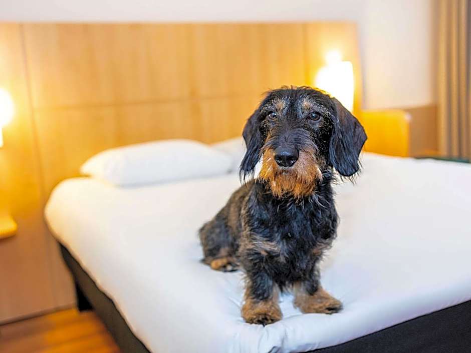 ibis Antwerpen Centrum