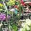 Bowral Road Bed and Breakfast