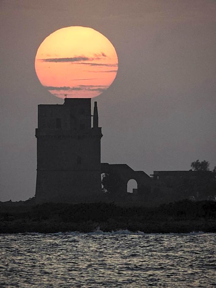 Canneddi Boutique Farm