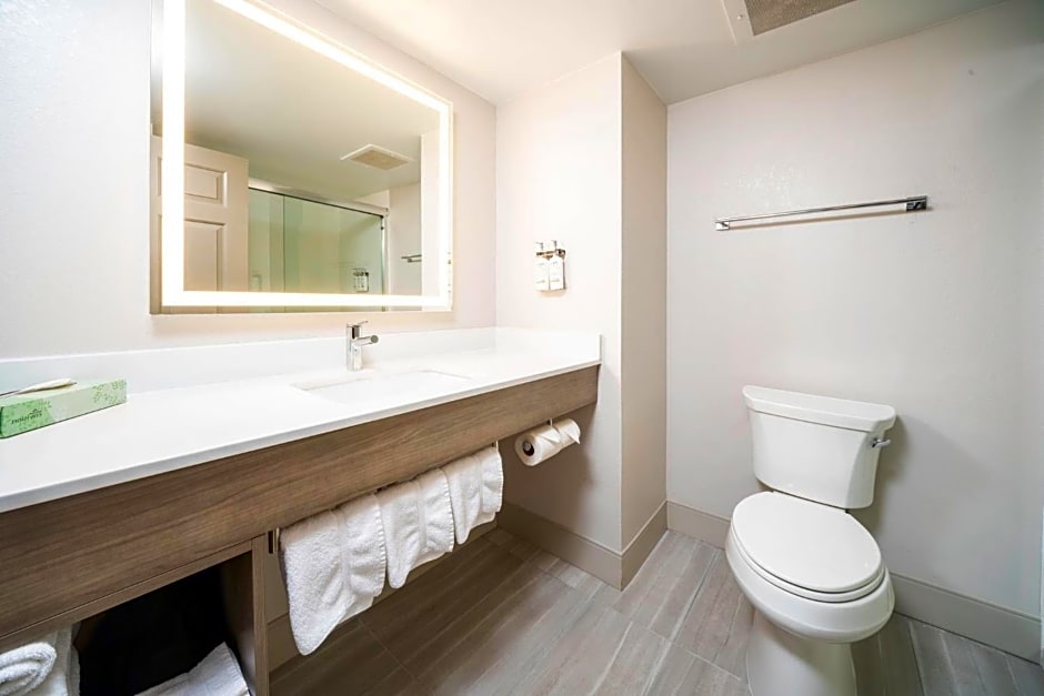 Holiday Inn Express and Suites Atlanta-Johns Creek By IHG