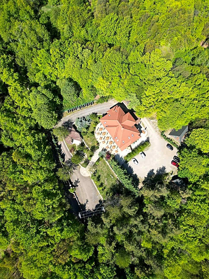 Cetatuia
