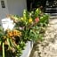 Amazing Grace Lodge
