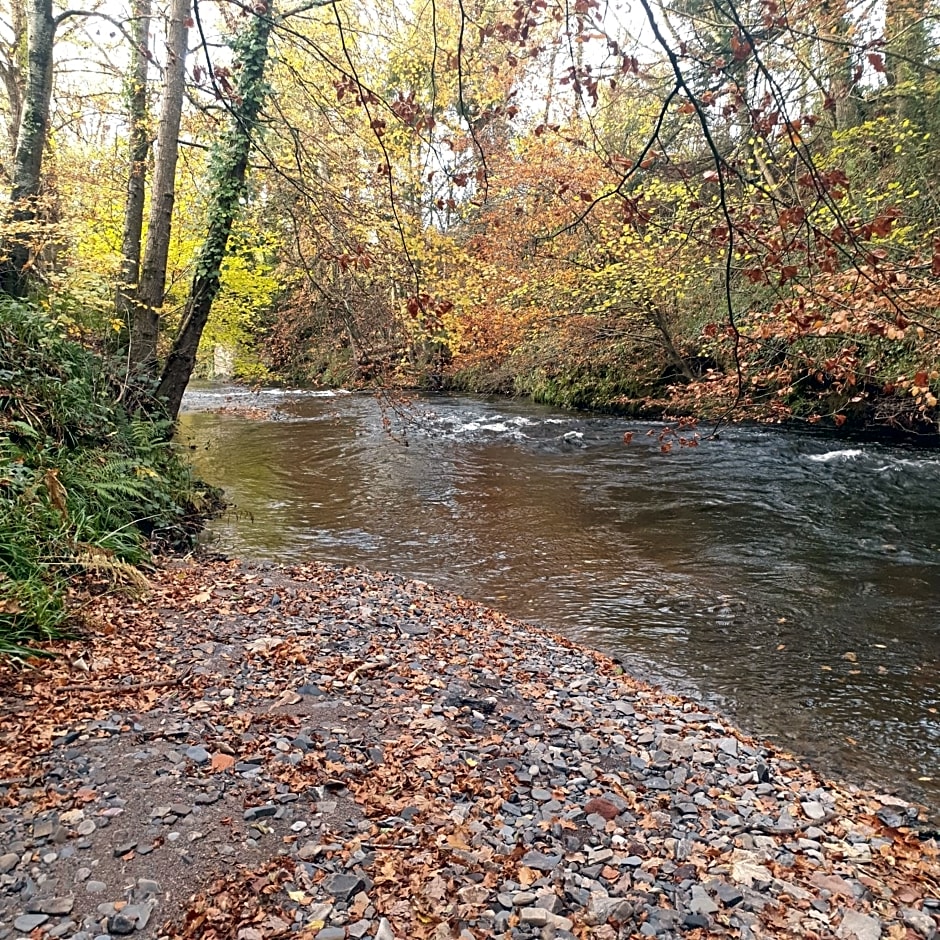 The Old Mill Shepherds Hut