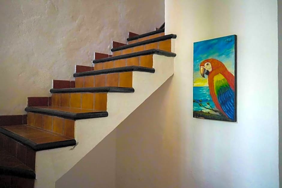 My Local Home Vallarta