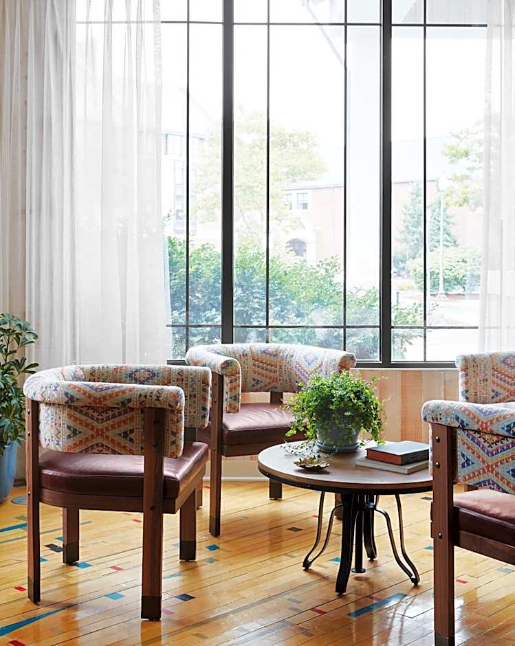 Graduate by Hilton Storrs