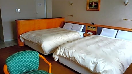 Deluxe Twin Room B