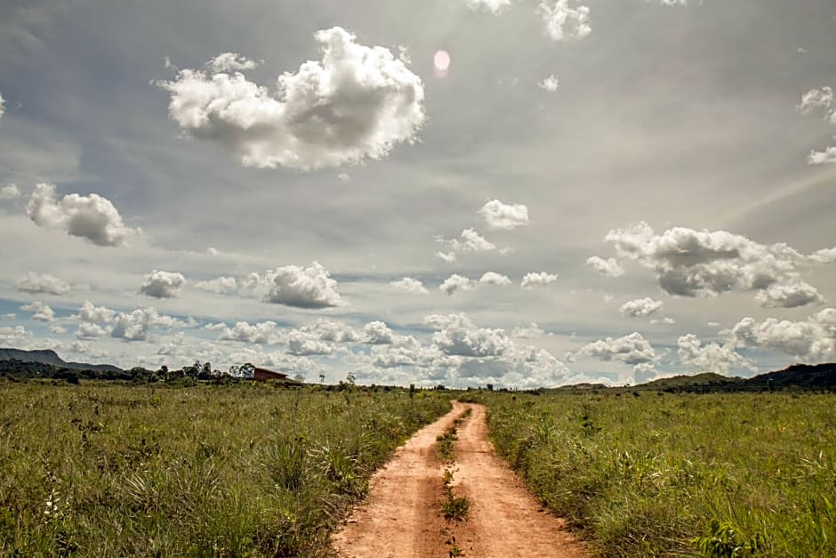 Raizando Ecologia Humana