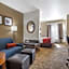 Comfort Suites Spring