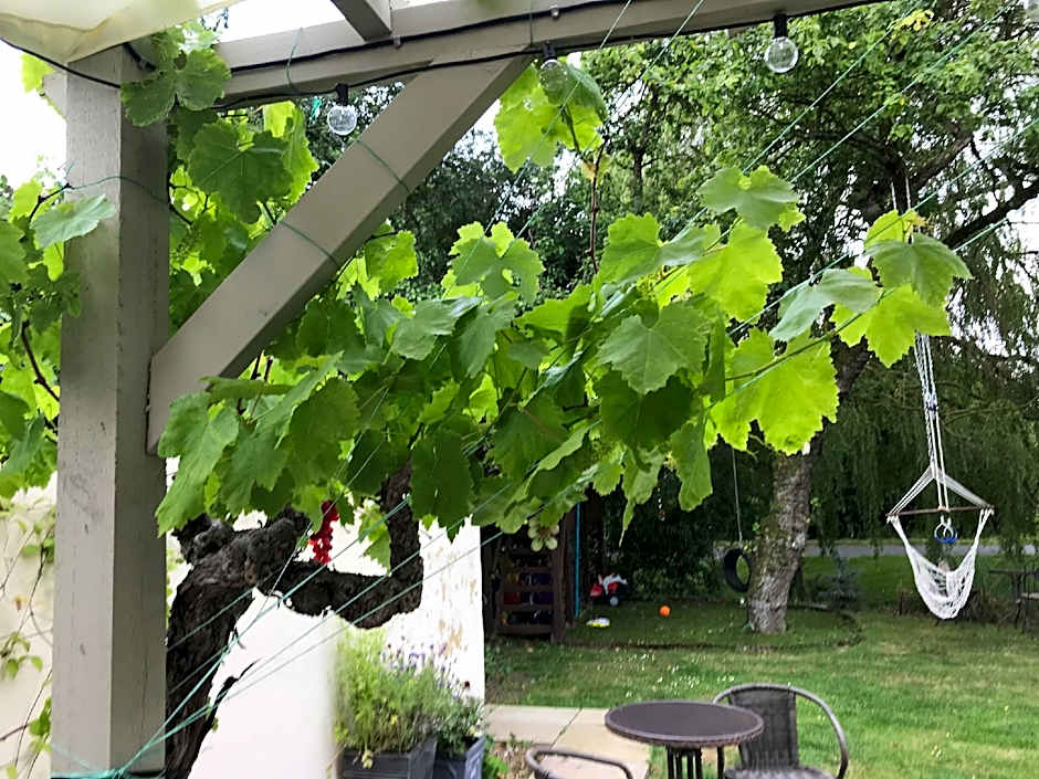 Old Thatch Bambers Green