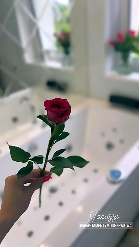 Apartamenty Modrzewiowa Zator