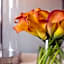 Four Seasons Hotel Atlanta