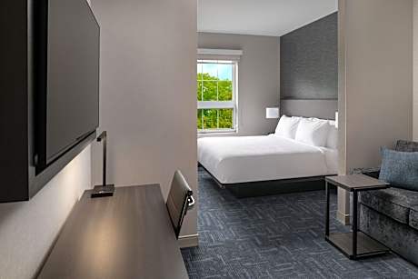 One-Bedroom King Suite with Sofa Bed