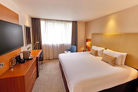 Deluxe King Garden View for Single Use