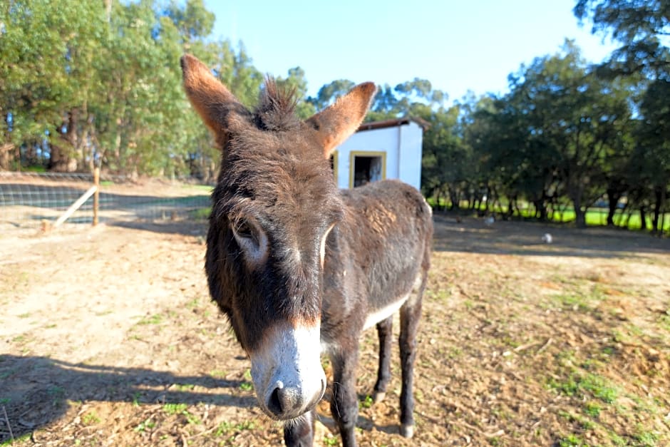 Quinta Da Samoqueirinha