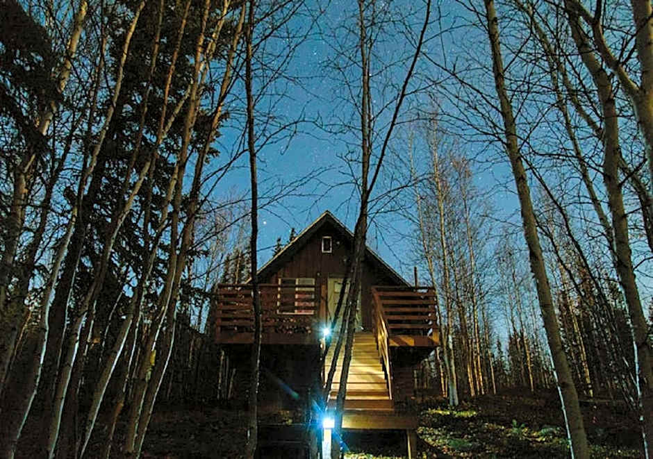 Yellow Dog Lodge, Inc.