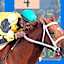 Zia Park Casino, Hotel, & Racetrack