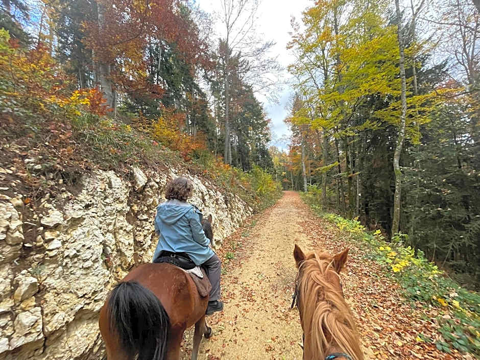 Miramont Horse Trekking Hostel