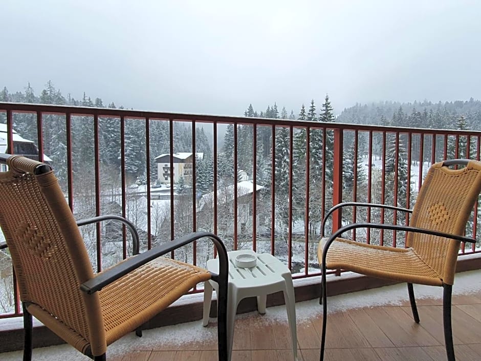 Atrium Hotel Mountain View Predeal