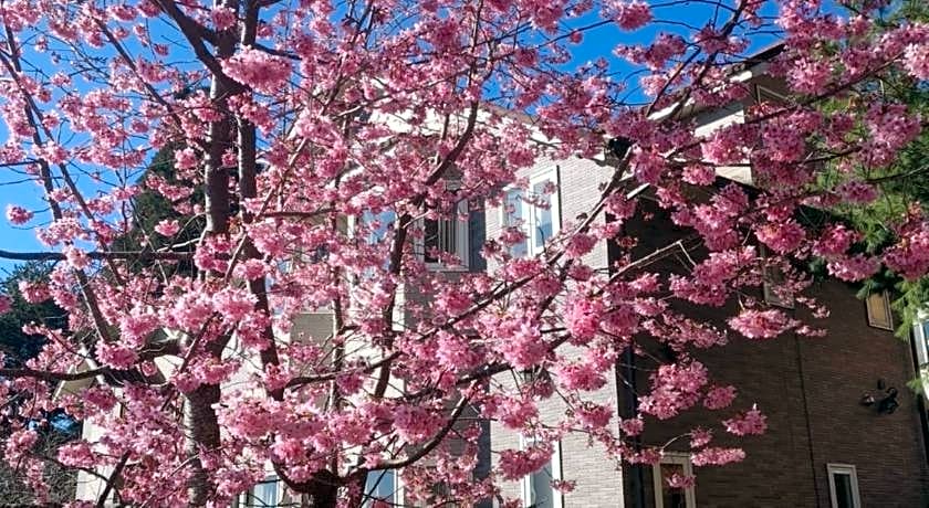 Chingjing New Paradise Bed and Breakfast