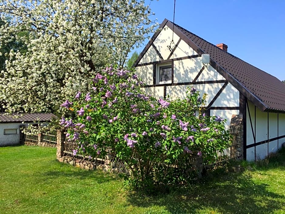 Samodzielny Dom Przy Lesie