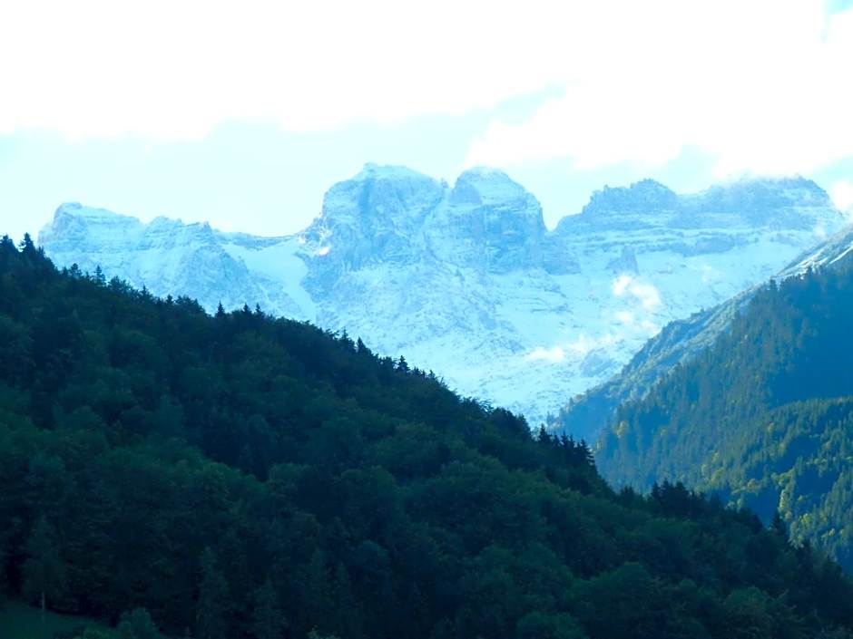 Spacious Swiss Alpine Chalet for Nature Lovers