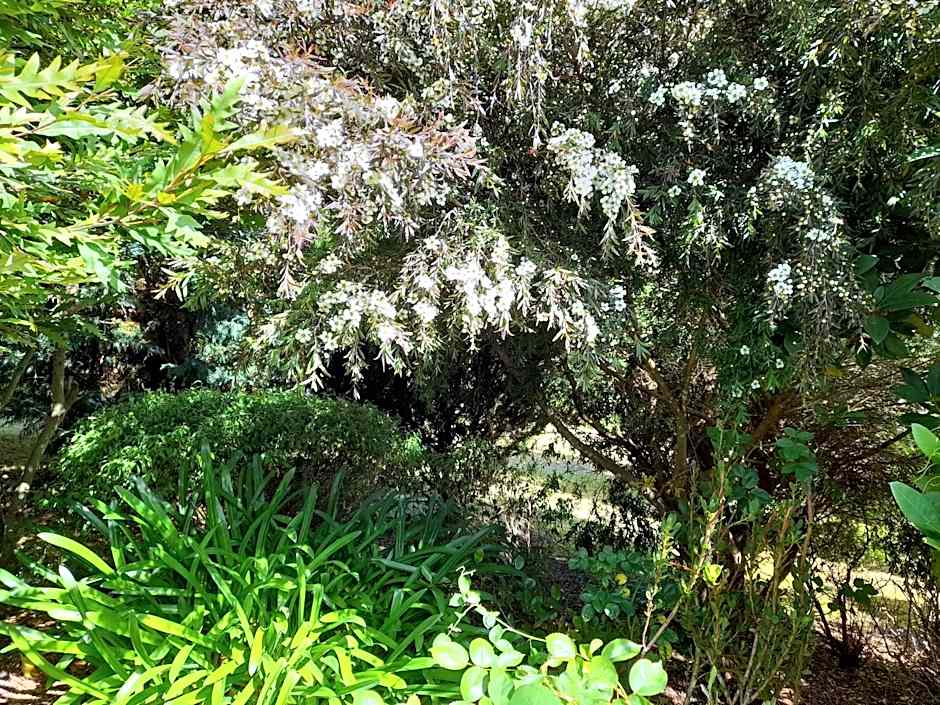 Hillside Bed and Breakfast