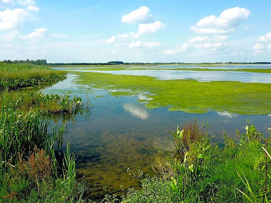 de Brabantse Biesbosch