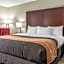 Comfort Inn Blue Ash North