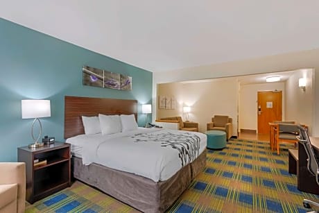 1 King Bed, Suite, Nonsmoking, Accessible