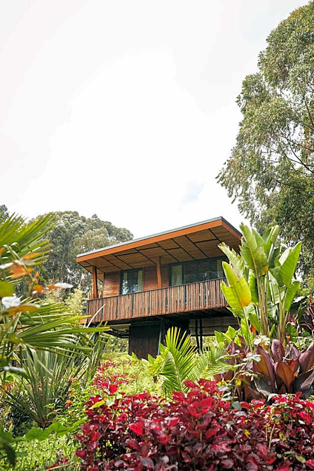 One&Only Gorilla's Nest