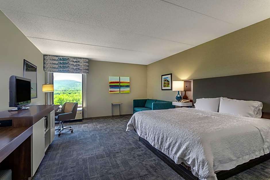 Photo 1 of 5 of 1 King Bed with Sofabed
